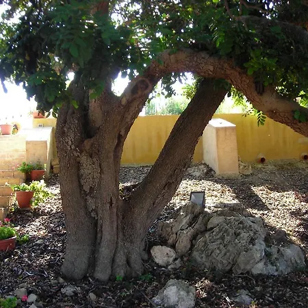 La Terrazza Sulle Egadi Pensionat Marsala